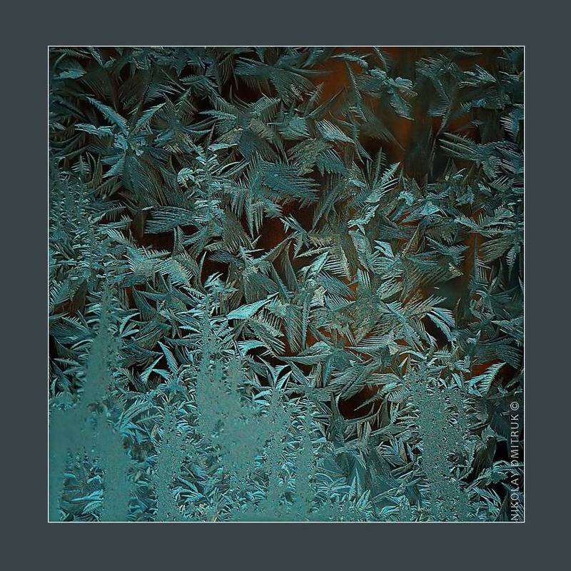 без, категории, природа, лёд, север, музыка птицы. зима. 2017photo preview