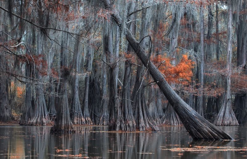 такие вот болота..photo preview