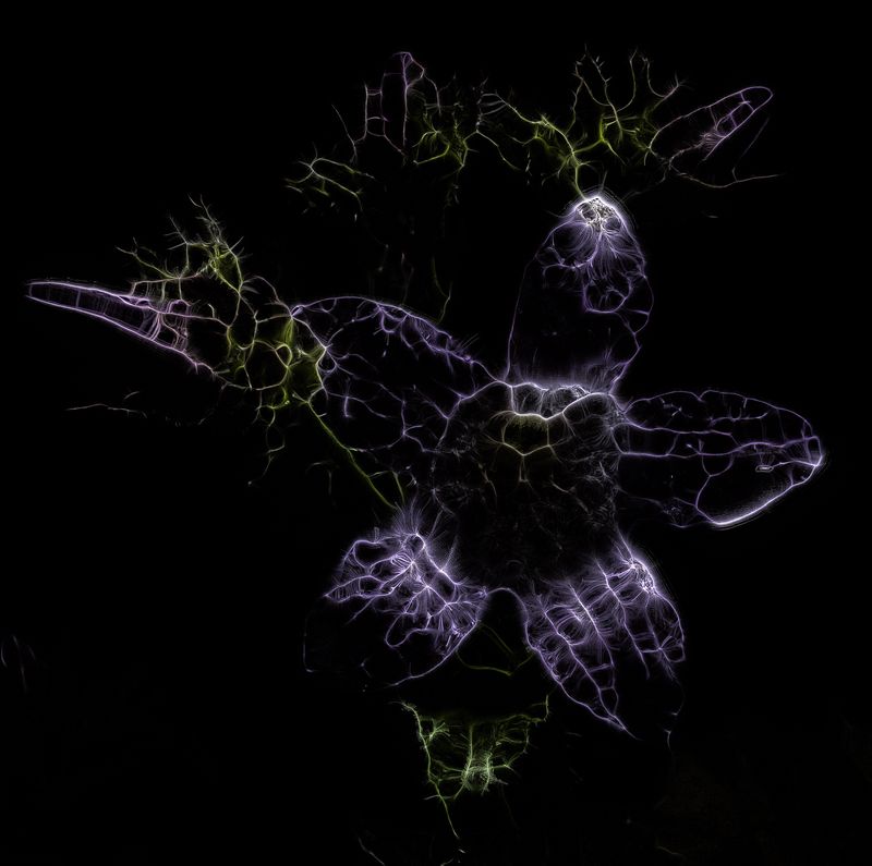 Квантованиеphoto preview