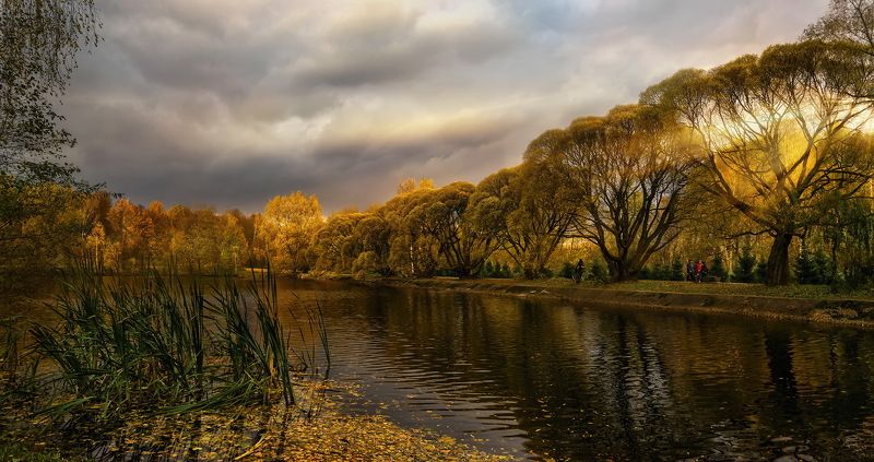 осень, пруд, городской парк, опавшие листья, облака, лучи, заходящее солнце, ивы Воспоминания об осениphoto preview