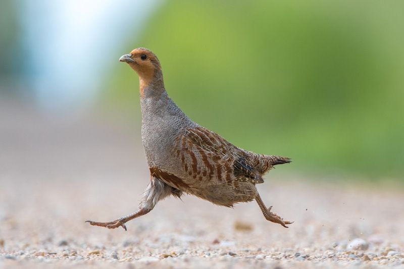 Утекайphoto preview