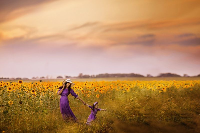 подсолнухиphoto preview