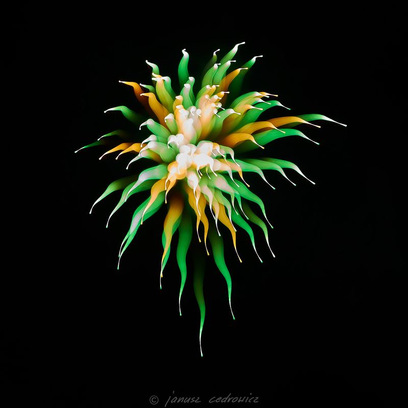 firework, fireworks, explosion, sky, night, lights, colors, colorful, art, abstract, fireworxx фото превью