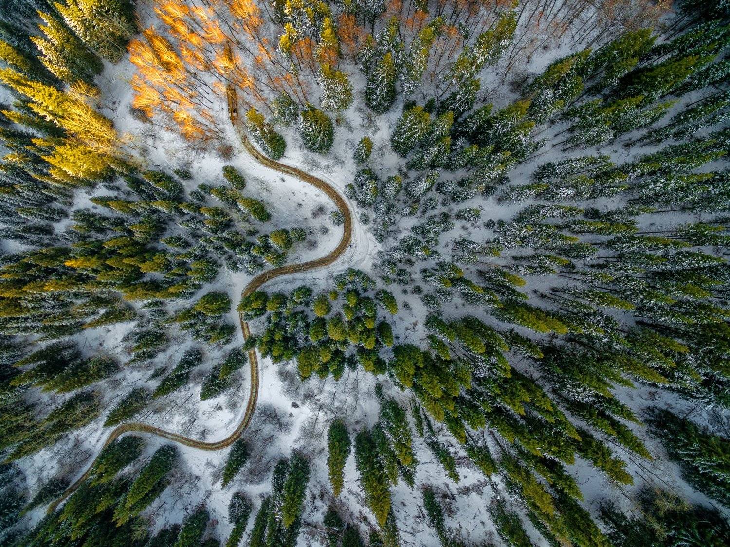 , Александр Власюк