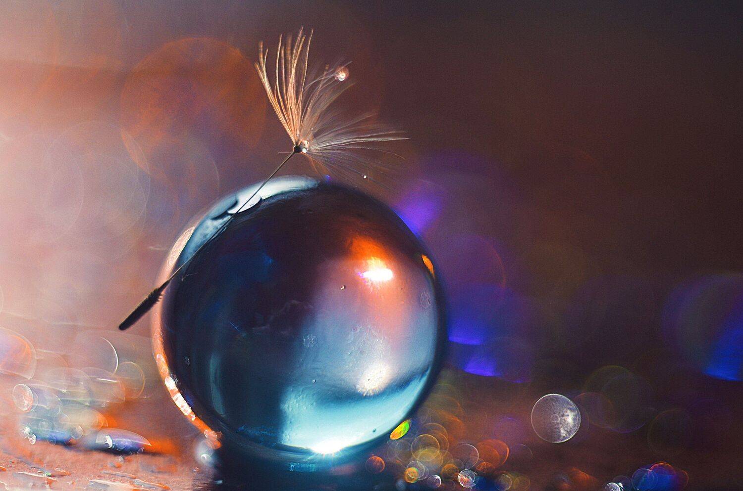 космос. Автор: Лапшина Владлена макро, фотография, цвет, красиво, гелиос, Лапшина Владлена