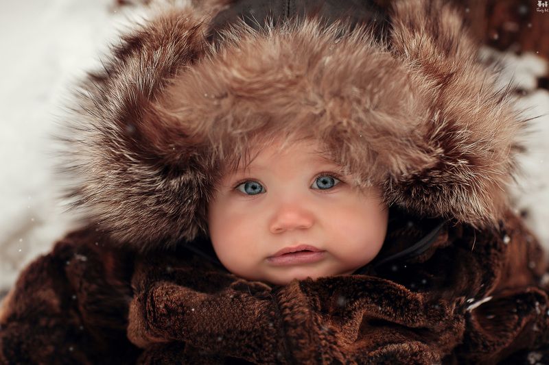 Стёпи :-) photo preview