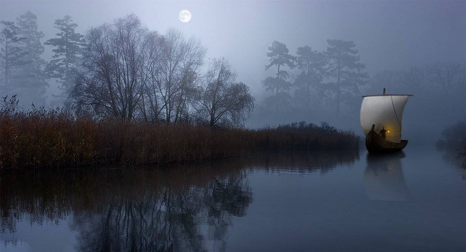 В поисках аленького цветочка. Автор: Nikolay Titov , Nikolay Titov