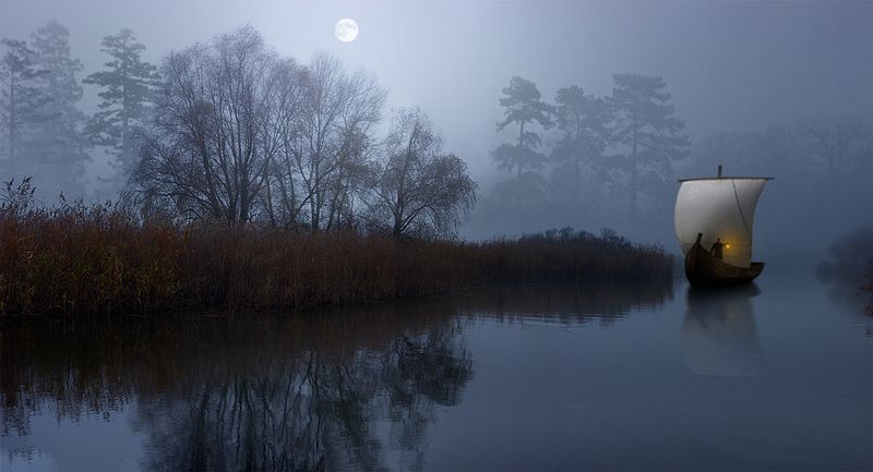 В поисках аленького цветочкаphoto preview