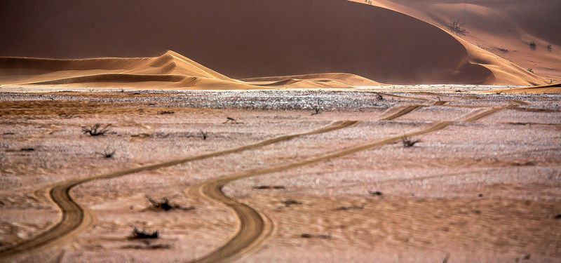 Нетрадиционный взгляд на пустыню... фото превью