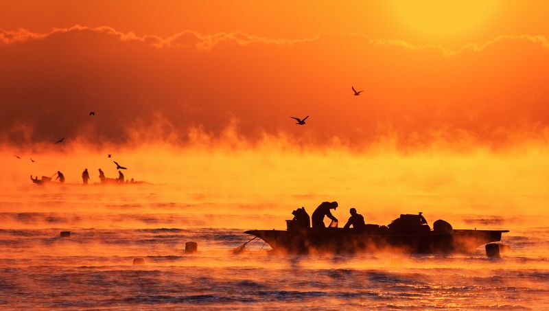 Fisher manphoto preview