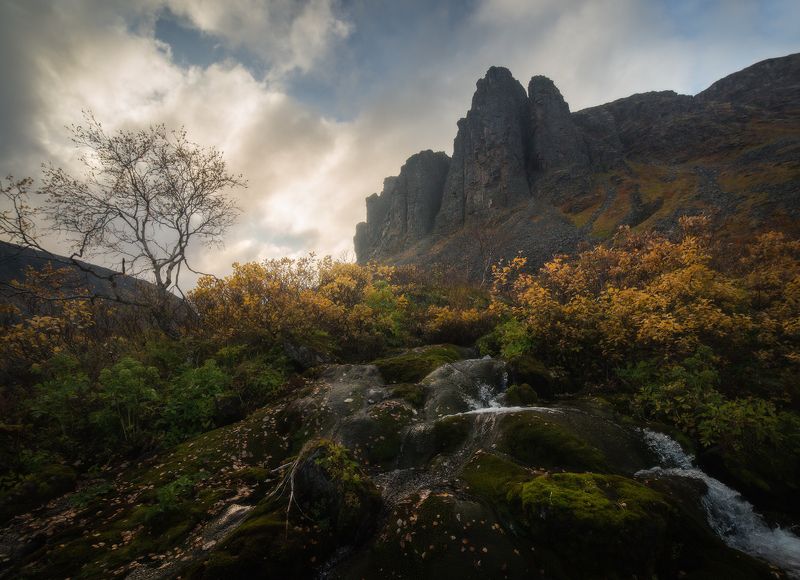 осень, кольский полуостров, горы, ловозёры, тундра, ущелье, чивруай Последний свет осениphoto preview
