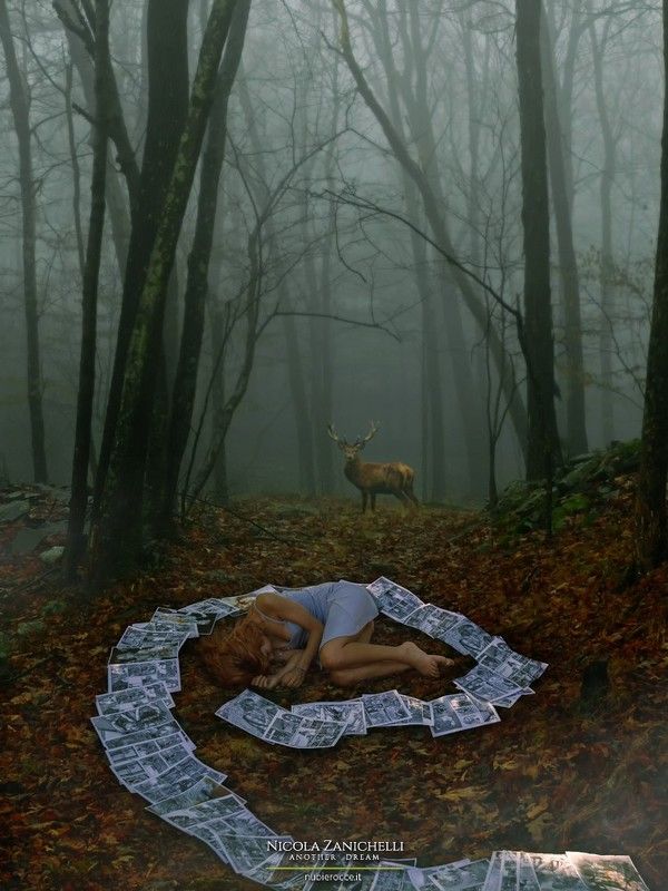 Elena Yuna Chiappini Fantasy deer forest Elenaphoto preview