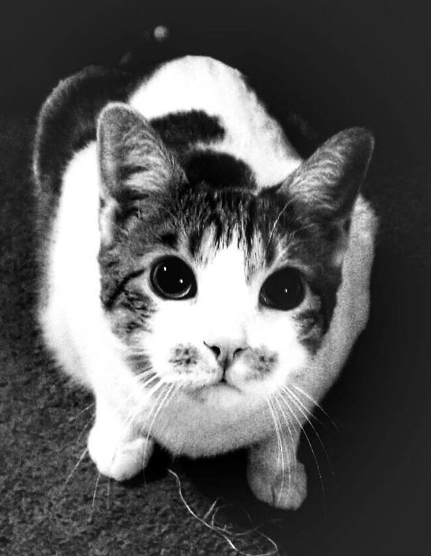 блескphoto preview