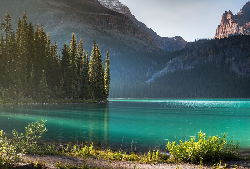 ohara, yoho МОШКАРАphoto preview