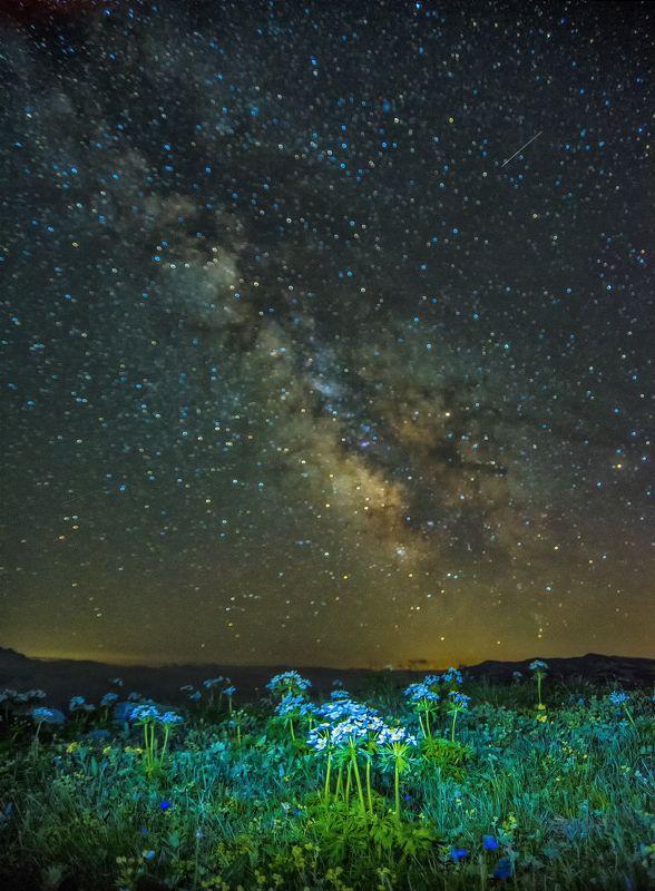 Разного для портфолио фото превью