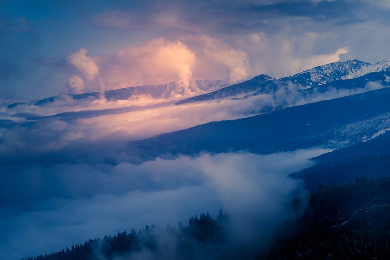 sony a6000 ...photo preview