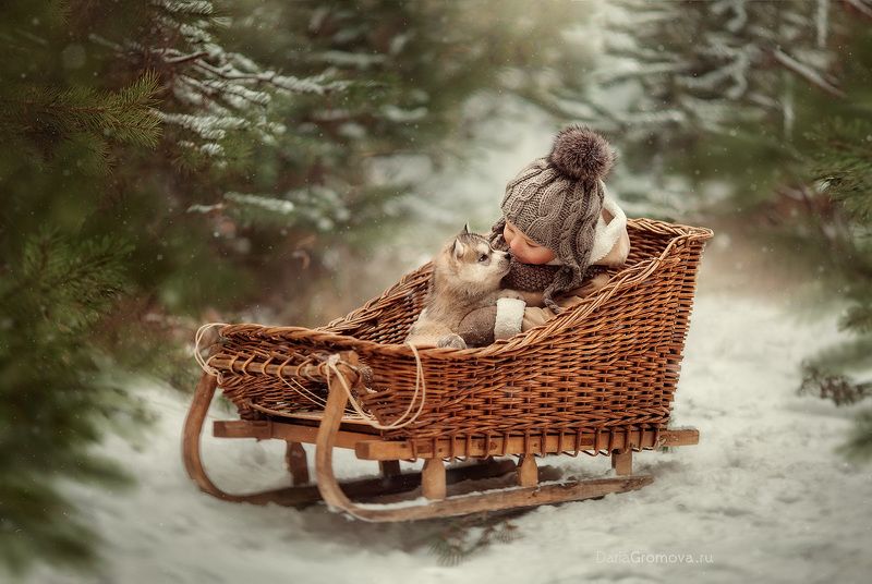 портрет, дарья громова, фотография, фото, фотоарт, фотограф, закат, детский портрет, дети, ребенок, сестры, малыш, девочка, мальчик, детская, фотосессия, фотосъемка, санки, щенок, зима Дай лапу другphoto preview