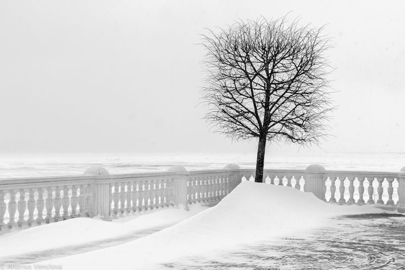 Снег и ветерphoto preview