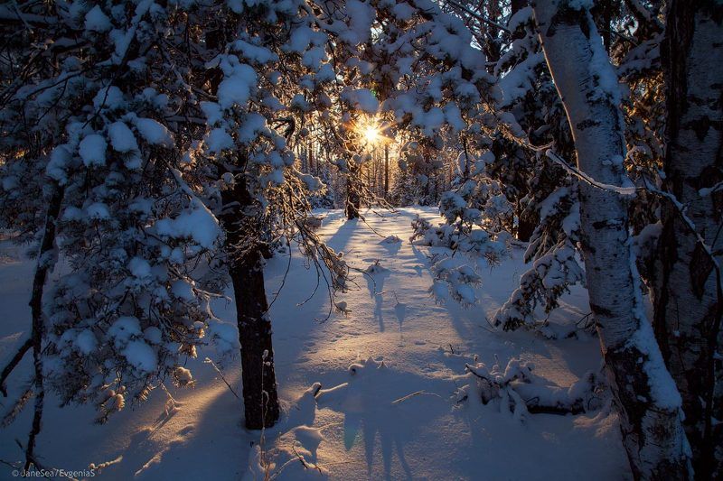 алтай, белокуриха, зима, снег, закат Рождественская Сказкаphoto preview