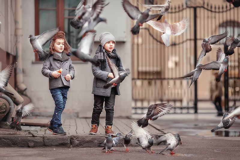 Друзья пернатыеphoto preview