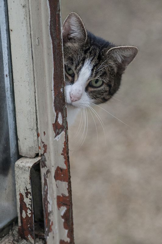 Respective Distancephoto preview