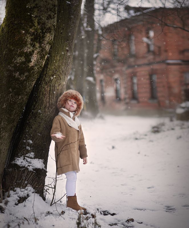 В ожидании зимыphoto preview