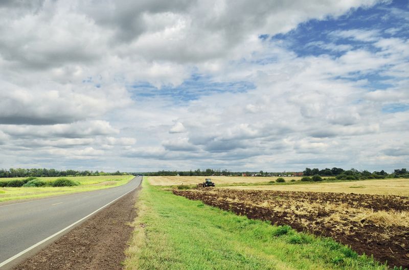 пейзаж, природа, поле, пшеница, небо, лето, август, анна салтыкова, дорога ***photo preview