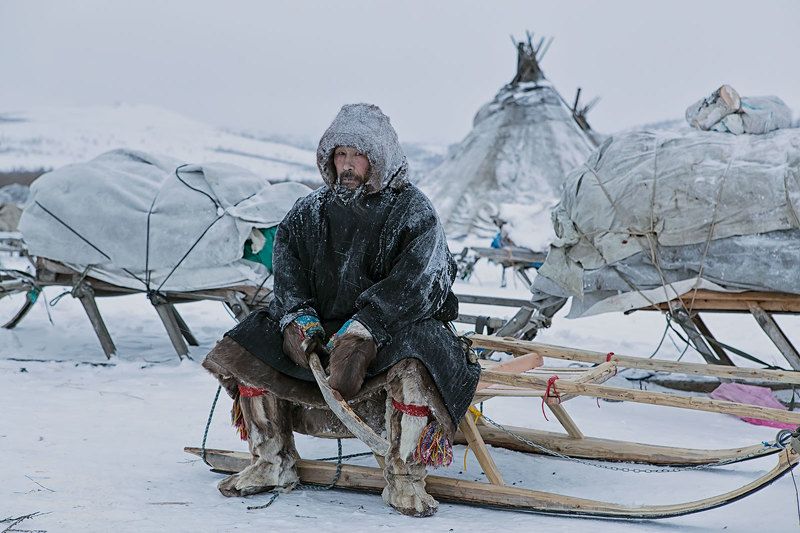ямал, полярный урал, олени, оленеводы, ненцы Пётр Иванович Тайбериphoto preview