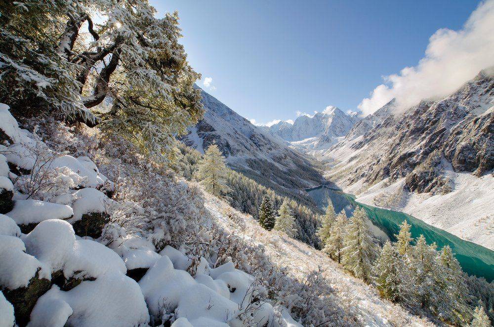 Алтай, оз. Нижнешавлинское, Юсупов Александр