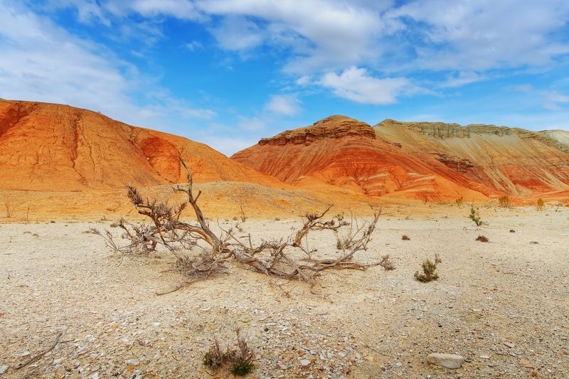 пустынные зарисовкиphoto preview