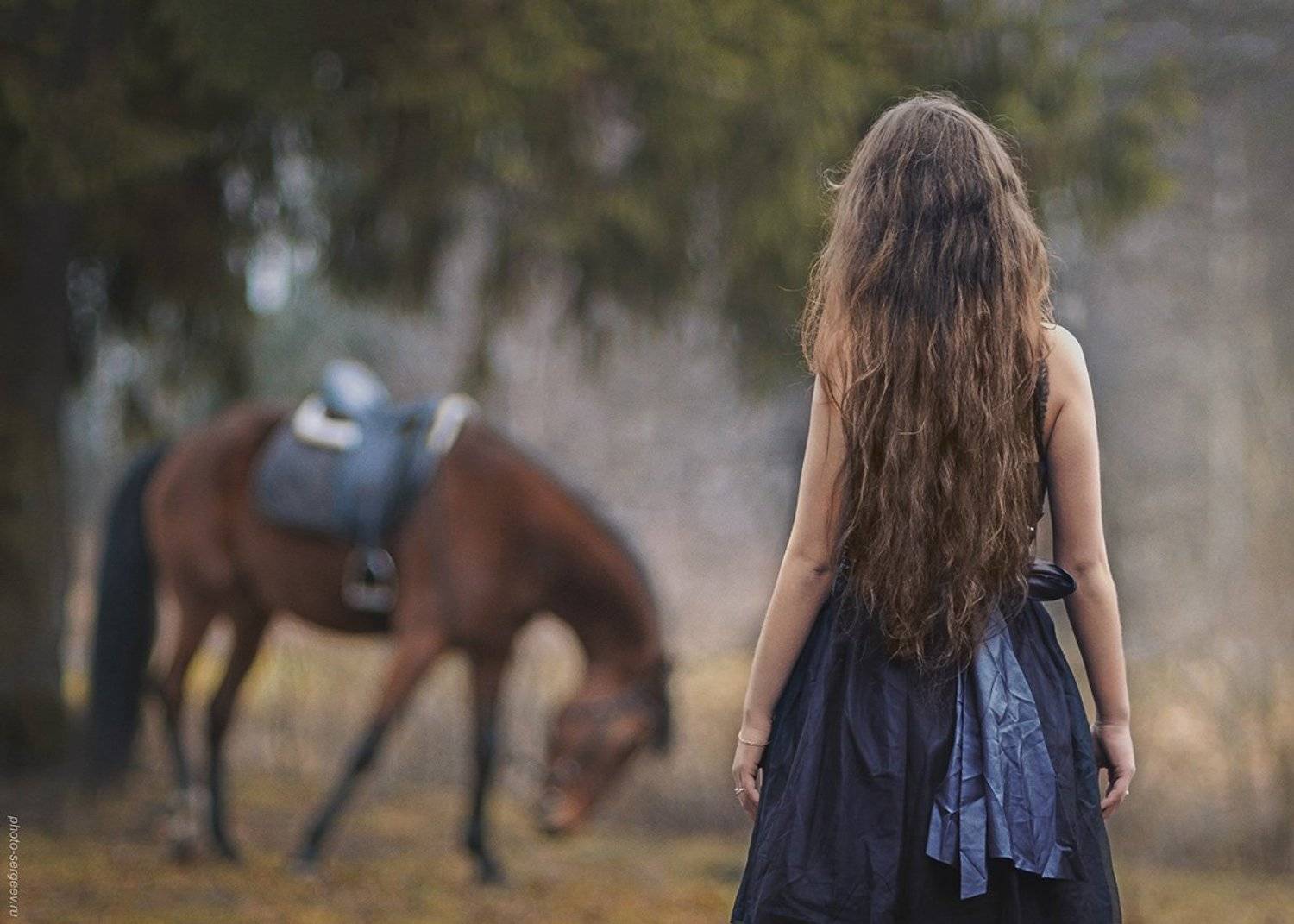 девушка,лошадь,романтика,дружба,настроение,пленэр, Александр Сергеев