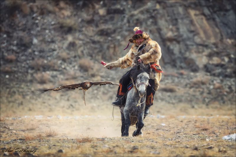 монголия, фестиваль охотников с беркутами, западная монголия, altai eagle festival, азия, golden eagle festival, охотники с беркутами, осень, golden eagle, mongolia, asia, фототур в монголию, фототур на алтай, фототуры по россии, фототур в монголию в 2019 Фазы атаки ..photo preview