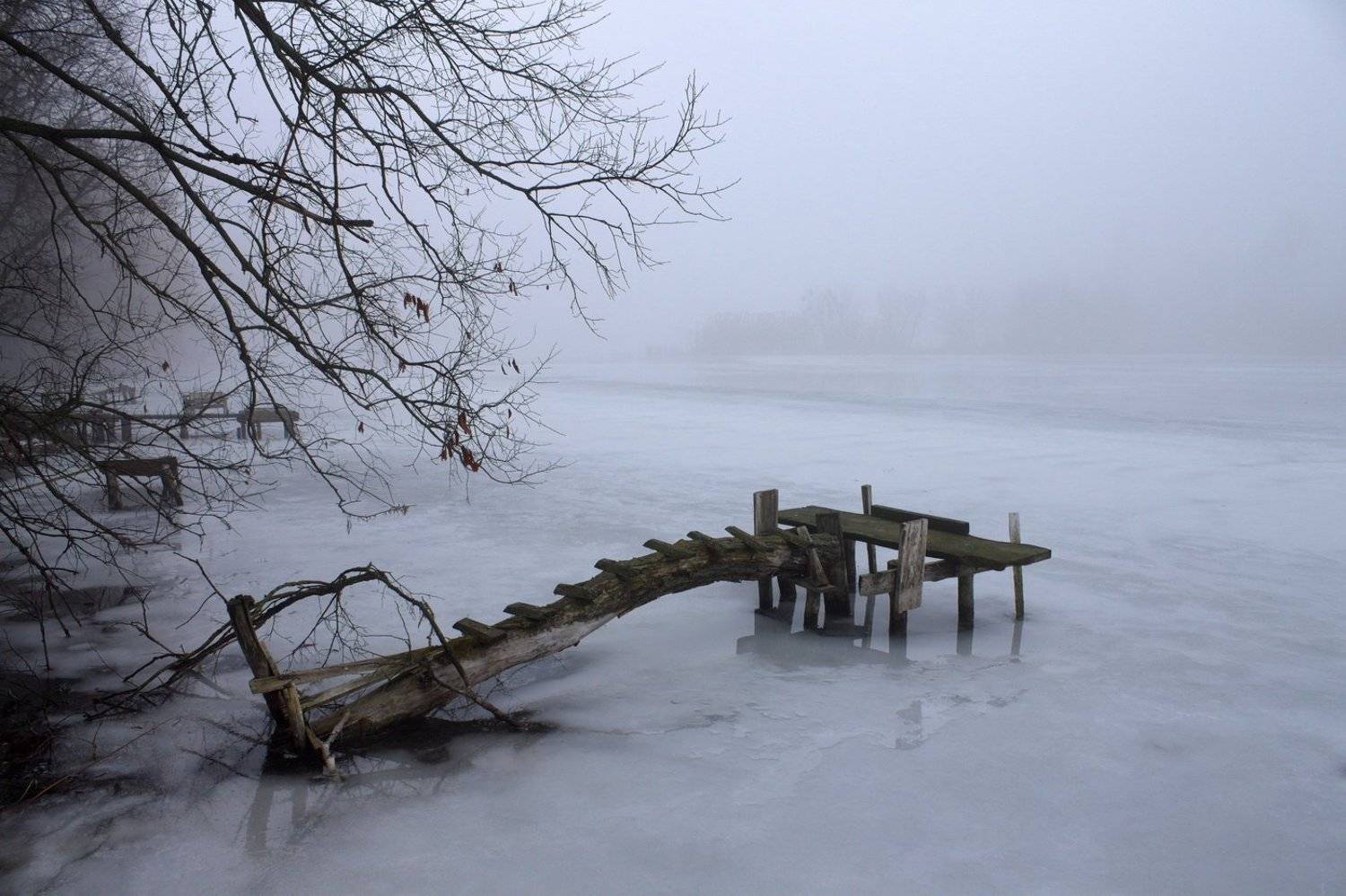 . . .. Автор: Alexey Argentum , Alexey Argentum