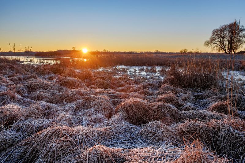 рассвет,мороз,природа,пейзаж,nature,landscape,dawn,sunrise Зимний рассветphoto preview