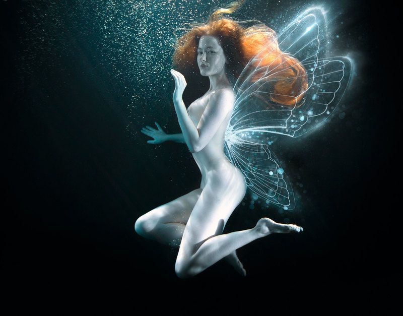 Флюоресцентные рыбки.photo preview