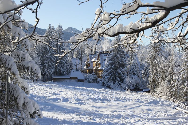 польша Нежнаяphoto preview