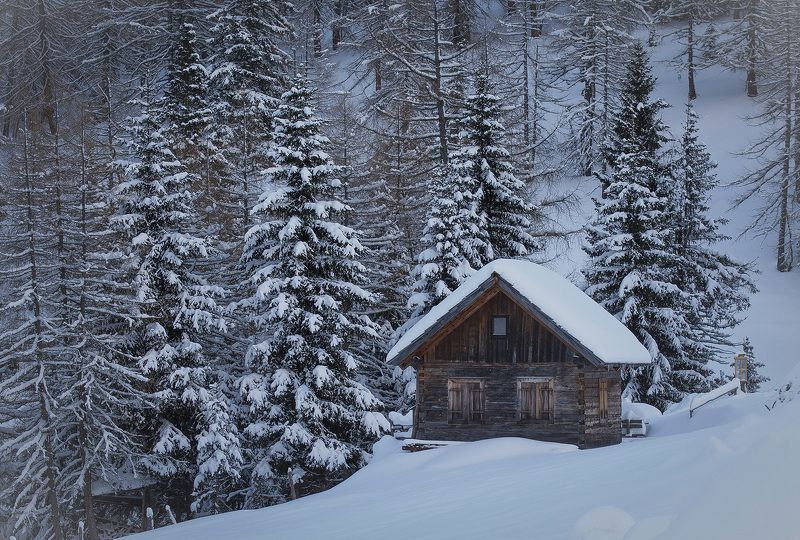 winter Winter dreamsphoto preview