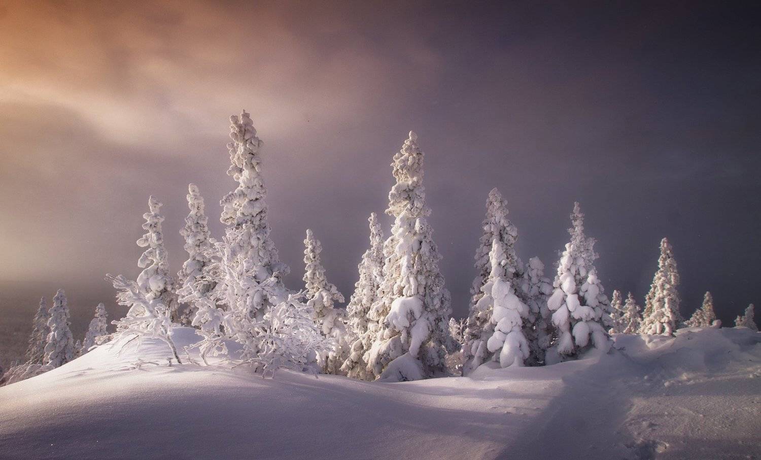 южный урал, уреньга, Татьяна Бирюкова