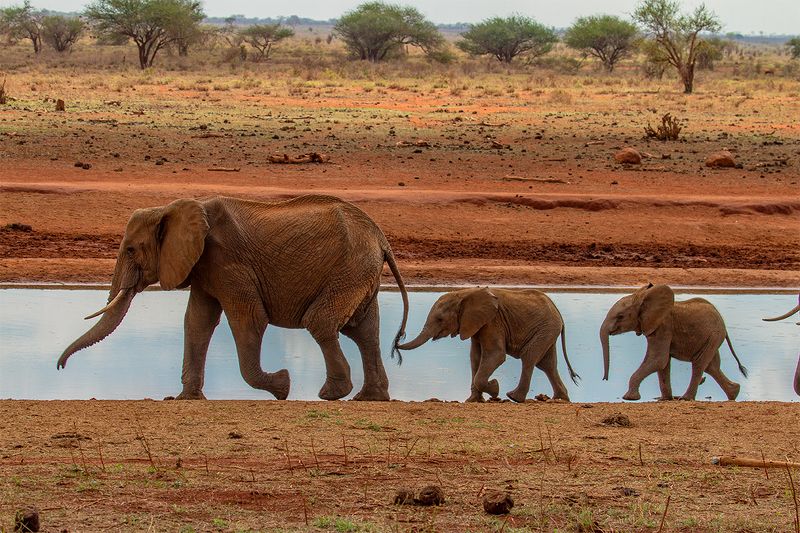 rodinkaphoto preview