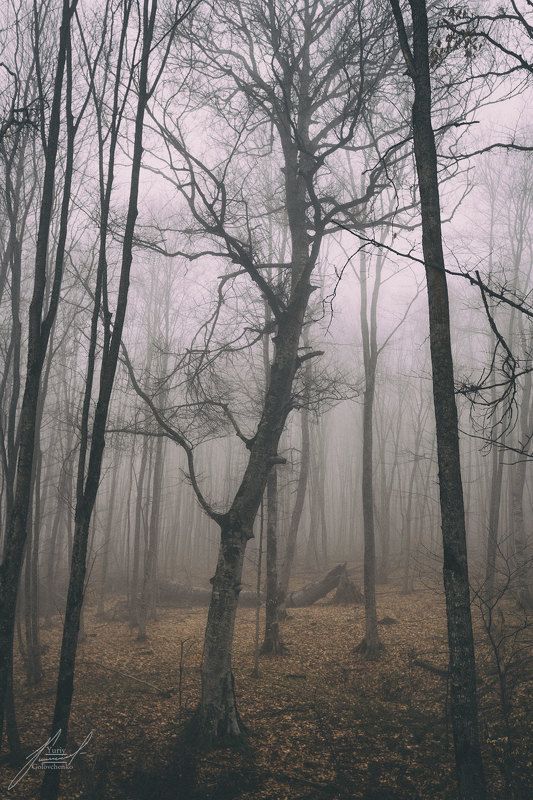 Урочище Уна-Коз.photo preview