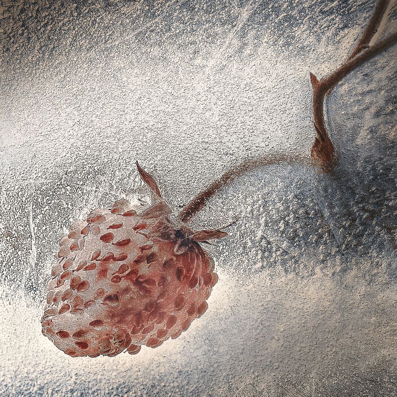 ...frozenphoto preview