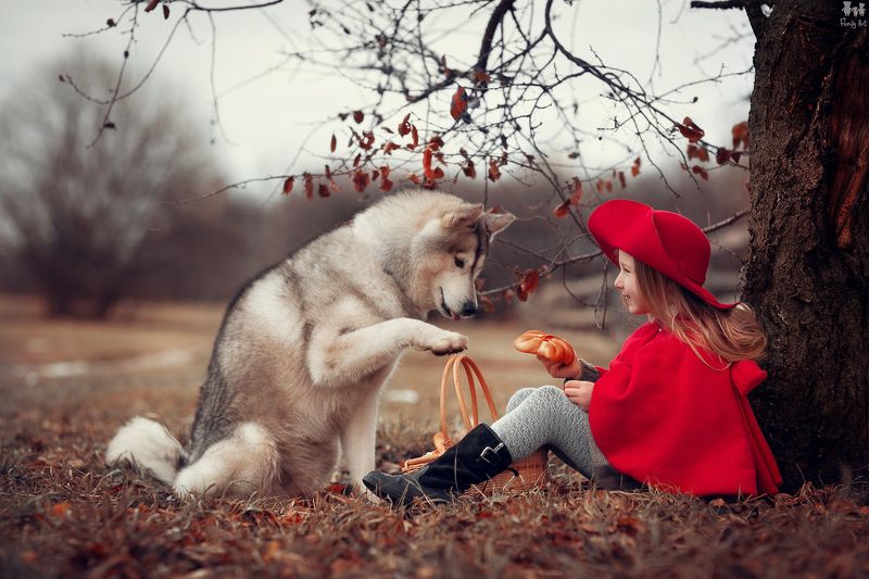 Красная Шляпочкаphoto preview