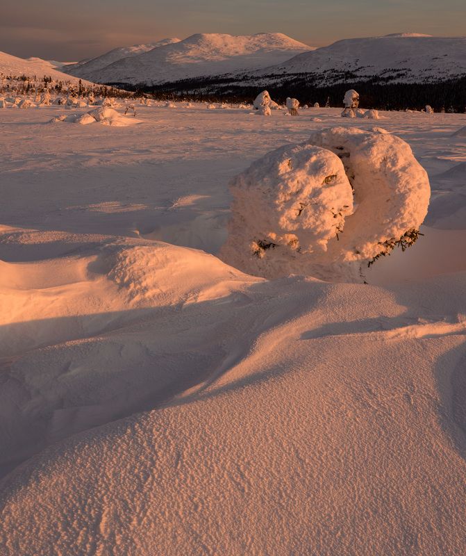 зима, горы, урал, деревья, снег, рассвет, заструги, снежные фигуры, антон селезнев, фактура, цвет Первые лучиphoto preview