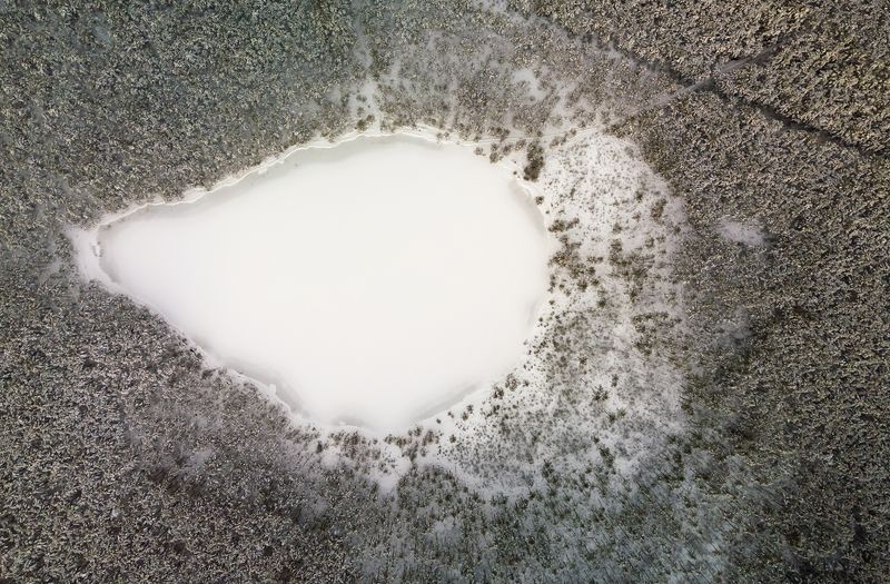 дрон, лес, зима, лед,озеро, литва, дронофото, снег Бычий глазphoto preview