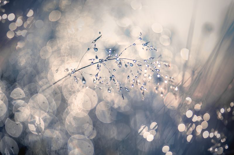 Декабрьское утроphoto preview