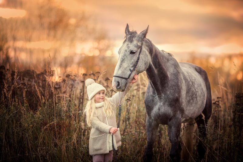 Девочка, лошадь, знакомство, закат, осень Первое знакомство.photo preview