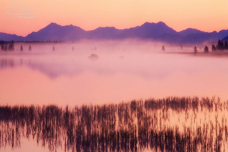 утро, туман, озеро Утро на озере Момонтай.photo preview