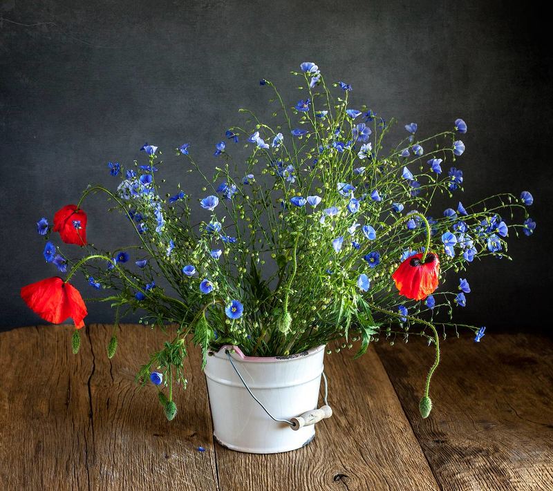 Summer timephoto preview