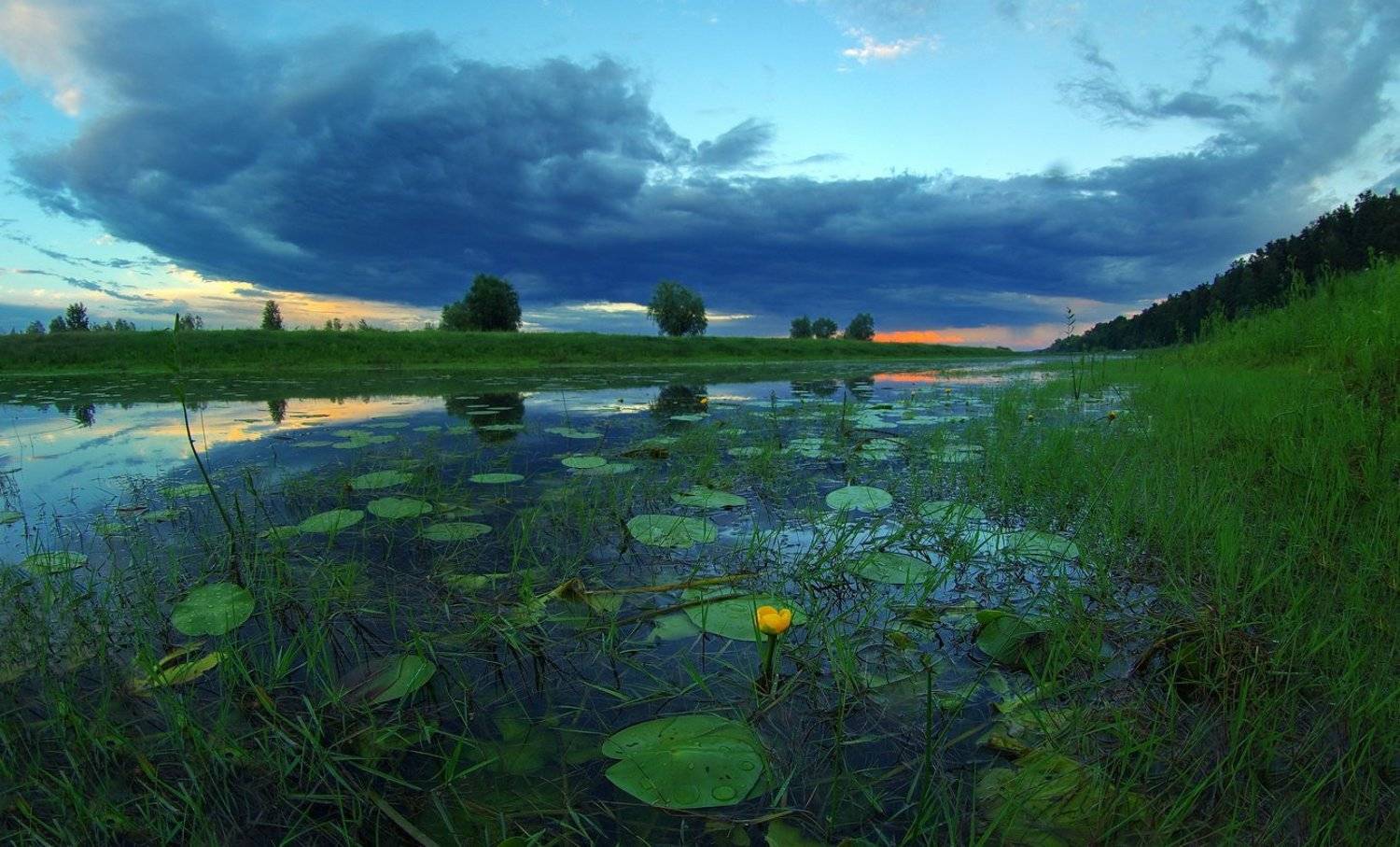 летний вечер, прошла гроза, смеркалось, Сергей Шляга