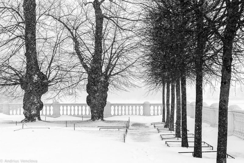 Два и остальныеphoto preview